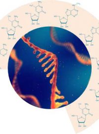 Atelier 289 - Librer le potentiel de lpitranscriptomique : un atelier  la pointe de linnovation