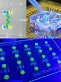 Atelier 290 - Organes sur puce : technologies, applications et nouveaux d�fis pour la medecine personnalis�e